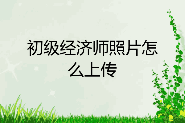 初级经济师照片怎么上传