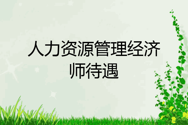 人力资源管理经济师待遇