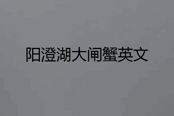 阳澄湖大闸蟹英文