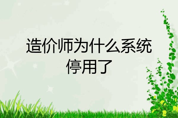 造价师为什么系统停用了