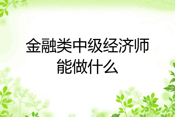 金融类中级经济师能做什么