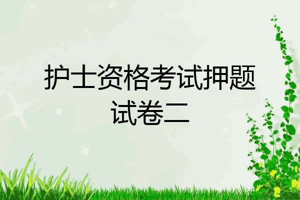 护士资格考试押题试卷二