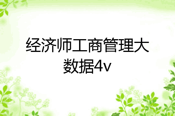 经济师工商管理大数据4v