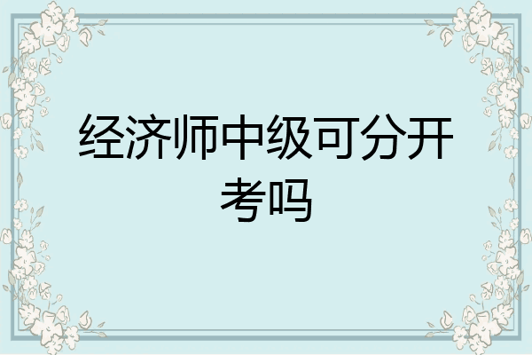 经济师中级可分开考吗