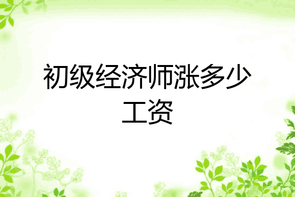 初级经济师涨多少工资