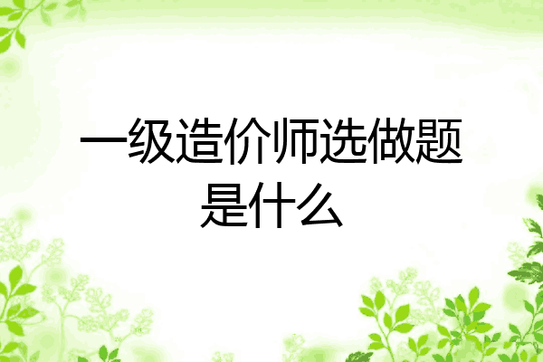 一级造价师选做题是什么