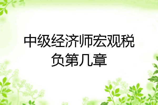 中级经济师宏观税负第几章