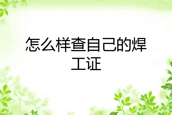 怎么样查自己的焊工证