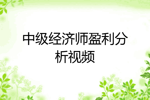 中级经济师盈利分析视频