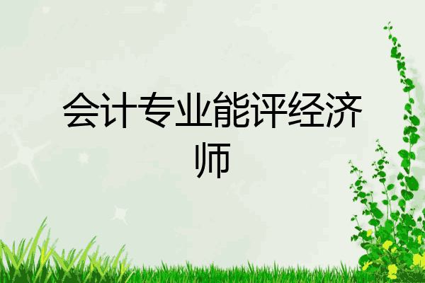 会计专业能评经济师