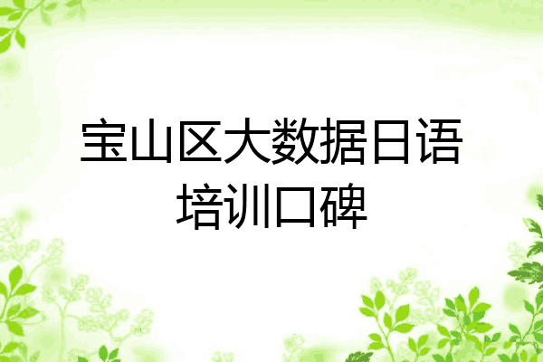 宝山区大数据日语培训口碑