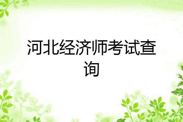 河北经济师考试查询