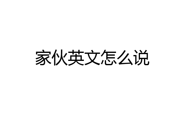 家伙英文怎么说