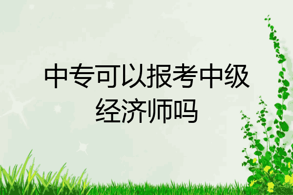 中专可以报考中级经济师吗