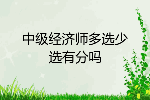 中级经济师多选少选有分吗