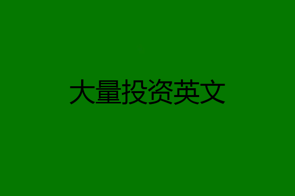 大量投资英文