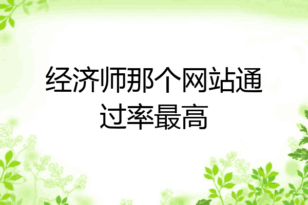 经济师那个网站通过率最高