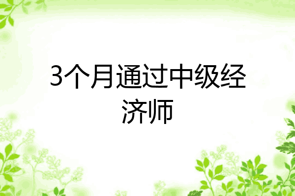 3个月通过中级经济师