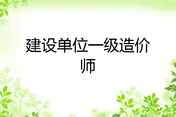 建设单位一级造价师