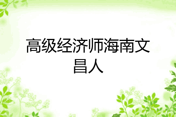 高级经济师海南文昌人