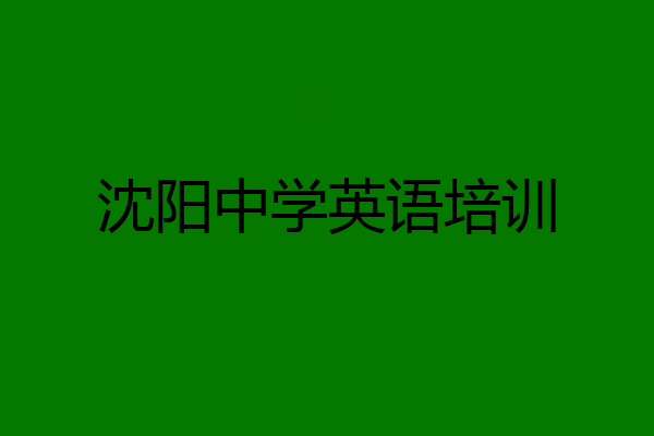沈阳中学英语培训