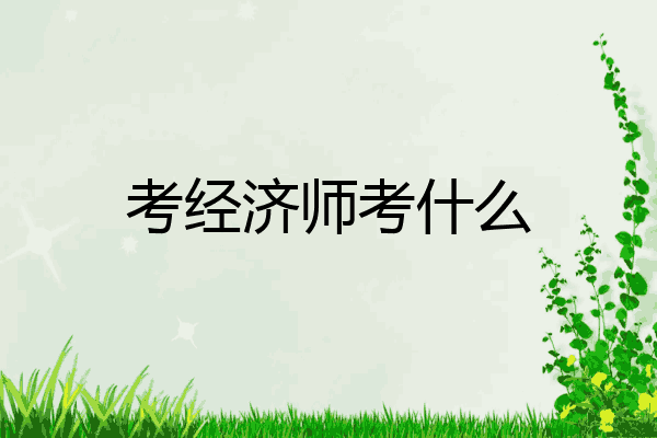 考经济师考什么