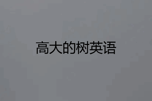 高大的树英语