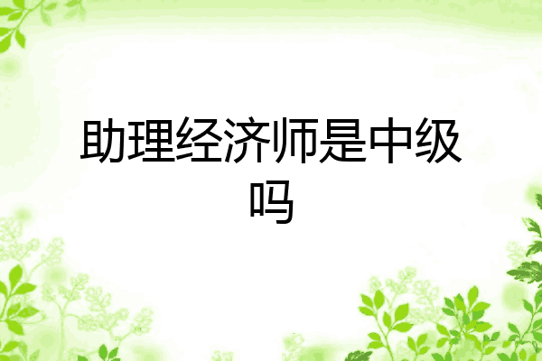 助理经济师是中级吗