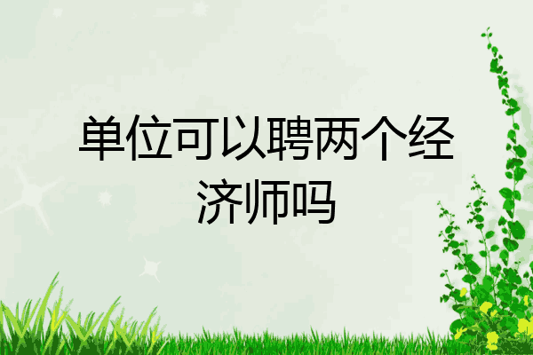 单位可以聘两个经济师吗