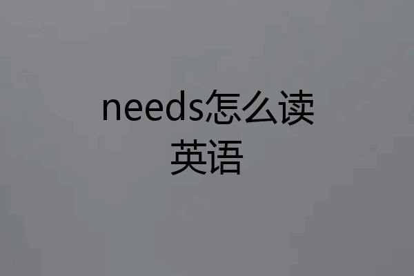 needs怎么读英语