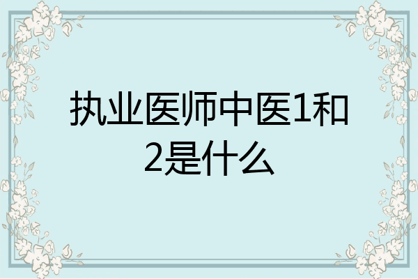执业医师中医1和2是什么