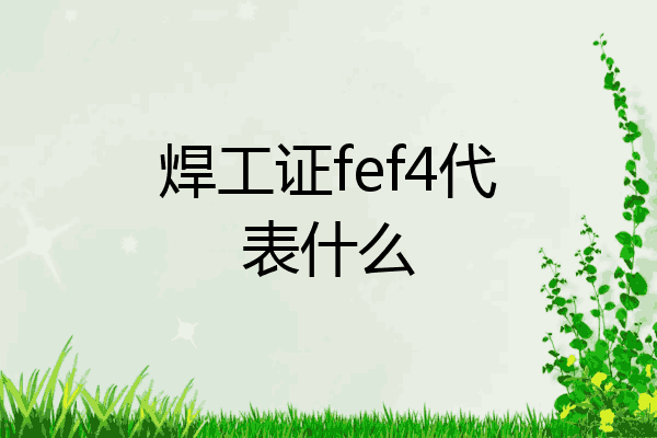 焊工证fef4代表什么