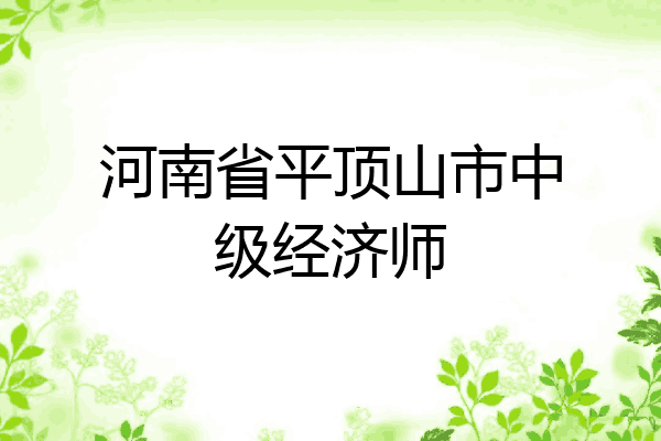 河南省平顶山市中级经济师