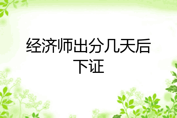 经济师出分几天后下证