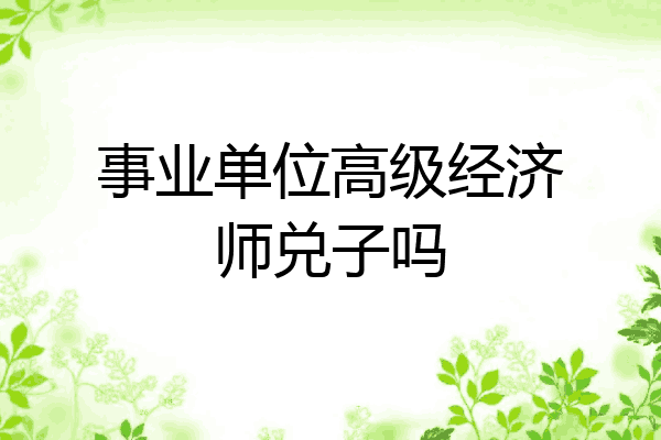 事业单位高级经济师兑子吗