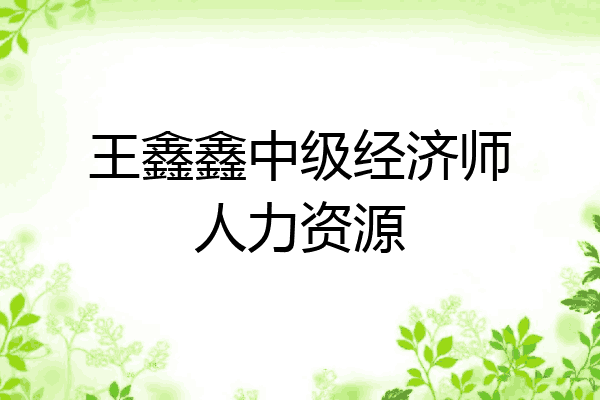 王鑫鑫中级经济师人力资源