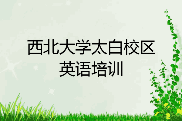 西北大学太白校区英语培训