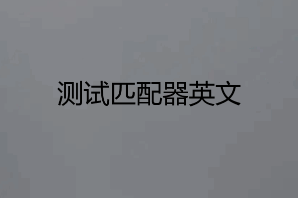 测试匹配器英文