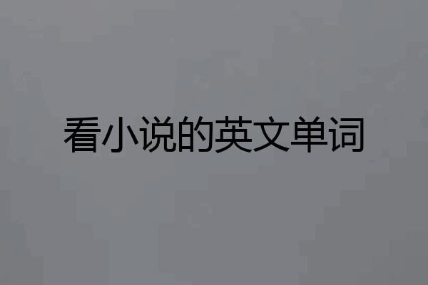 看小说的英文单词