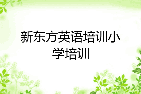 新东方英语培训小学培训