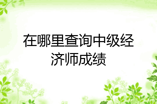 在哪里查询中级经济师成绩
