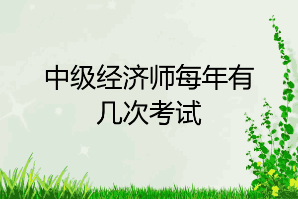 中级经济师每年有几次考试