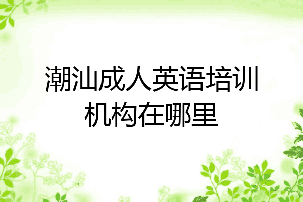 潮汕成人英语培训机构在哪里