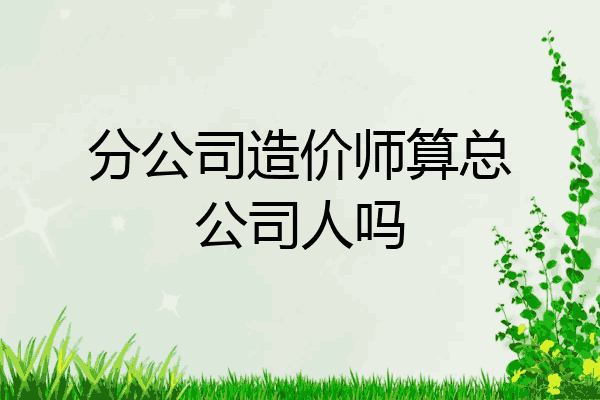 分公司造价师算总公司人吗