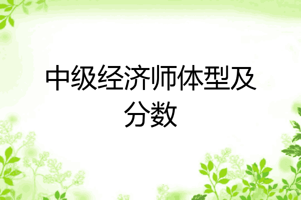 中级经济师体型及分数