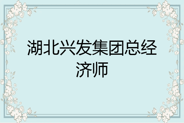 湖北兴发集团总经济师