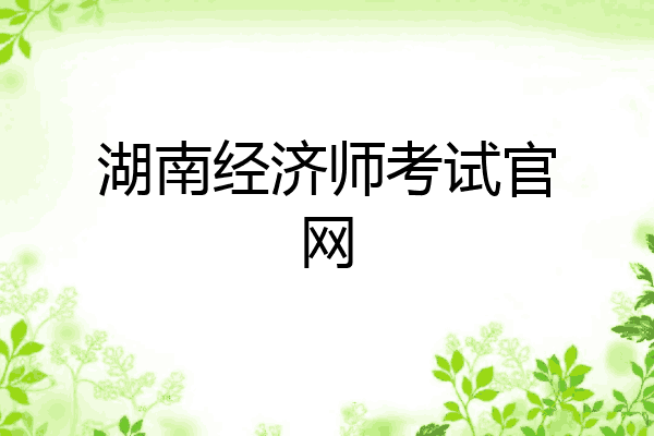 湖南经济师考试官网