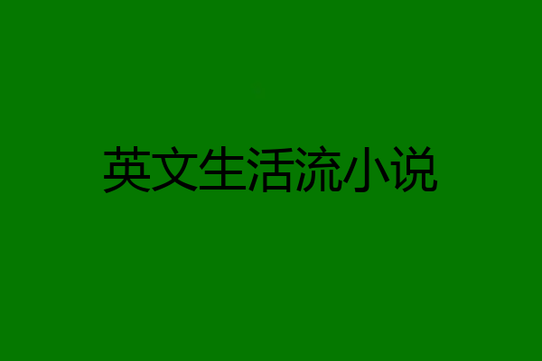 英文生活流小说