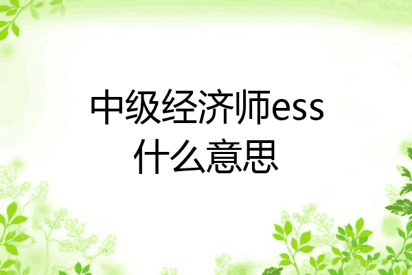 中级经济师ess什么意思