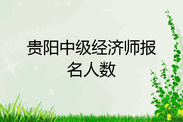 贵阳中级经济师报名人数